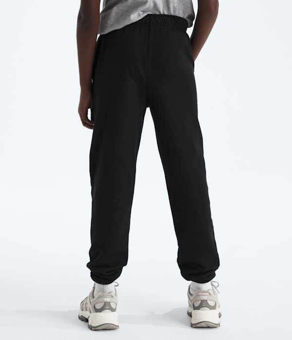 Boys-Girls-Evolution-Simple-Dome-Pants-TNF-BACK.png