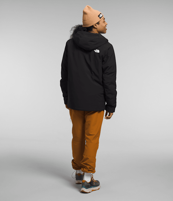 Mens-Apex-Elevation-Jacket-TNF-BACK.png