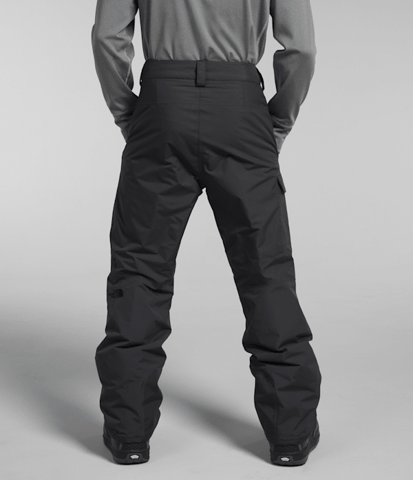 Mens-Freedom-Insulated-Pants-TNF-BACK.png