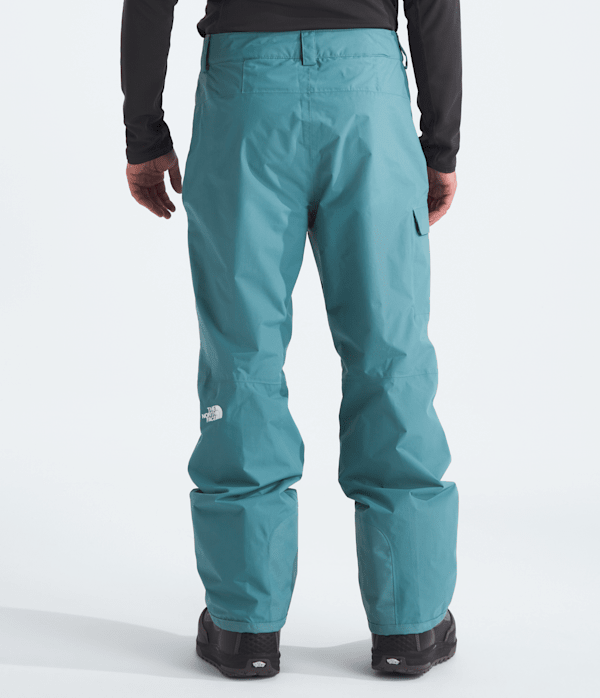 Mens-Freedom-Pants-TNF-BACK.png