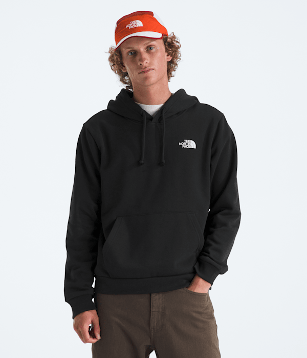 Mens-Mountain-Scape-Regular-Hoodie-TNF-BACK.png
