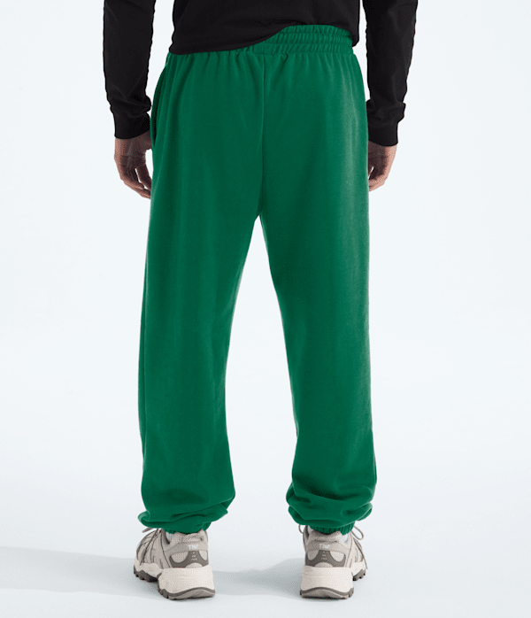 Mens-TNF-Essential-Simple-Dome-Relaxed-Pants-TNF-BACK.png