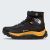 TNF Black/Summit Gold
