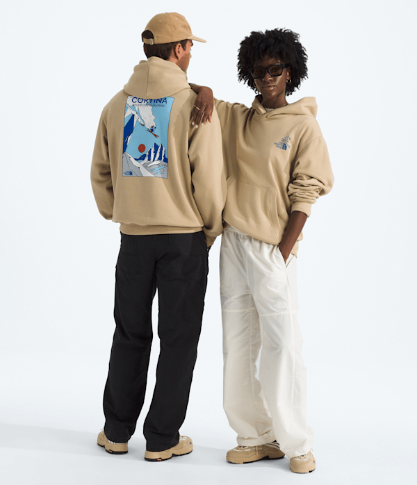 Unisex-Mountain-Celebration-Relaxed-HoodieGraphic-TNF-HERO.png