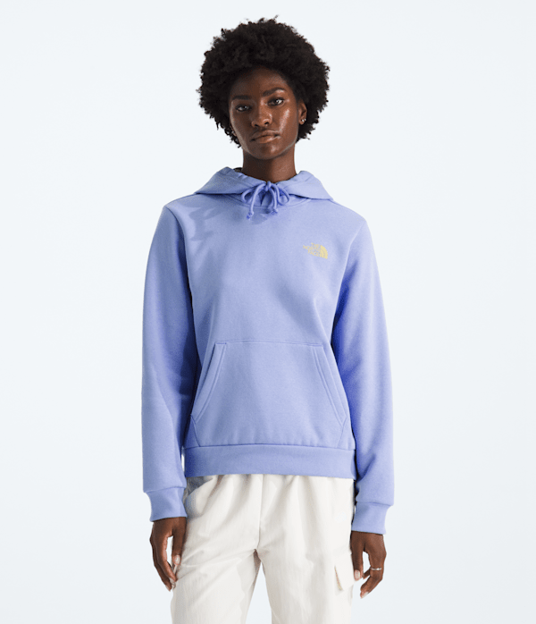 Womens-Explore-Pin-Regular-Hoodie-TNF-BACK.png