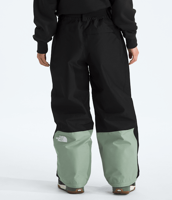 Womens-GORETEX-Hex-Pants-TNF-BACK.png